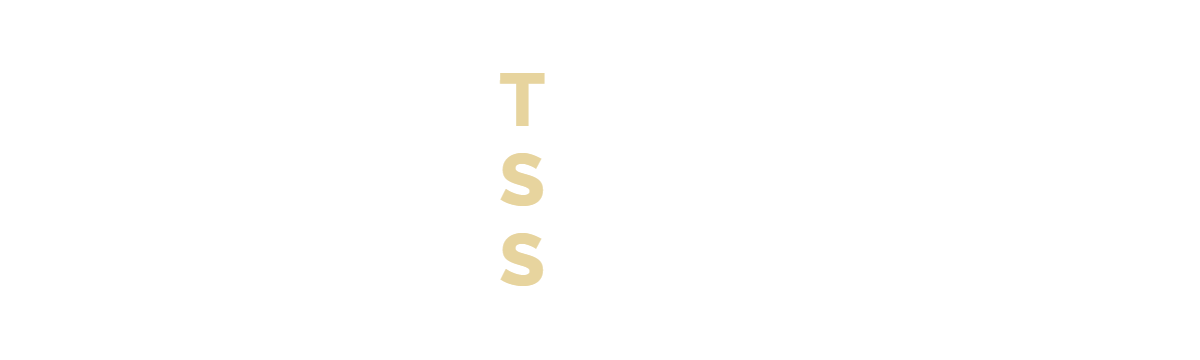 TSS – Tomrey Strategic Service